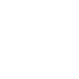 VEH BRAND